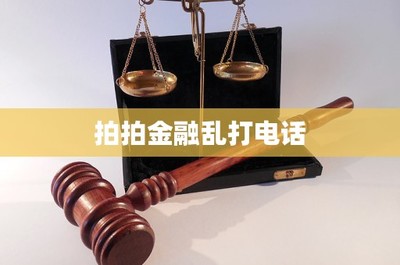 別再讓“拍拍金融”的電話打亂你的生活——金融中介服務何去何從